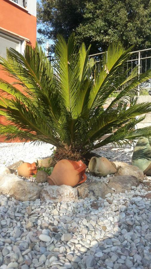 B&B La Mita Giuliano di Roma Εξωτερικό φωτογραφία