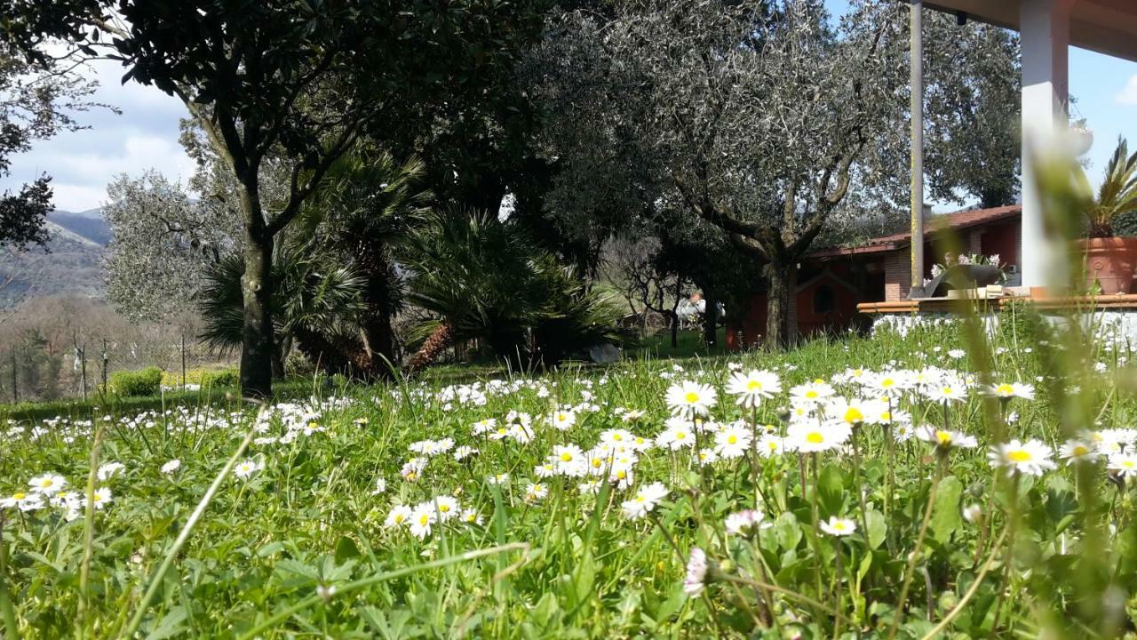 B&B La Mita Giuliano di Roma Εξωτερικό φωτογραφία